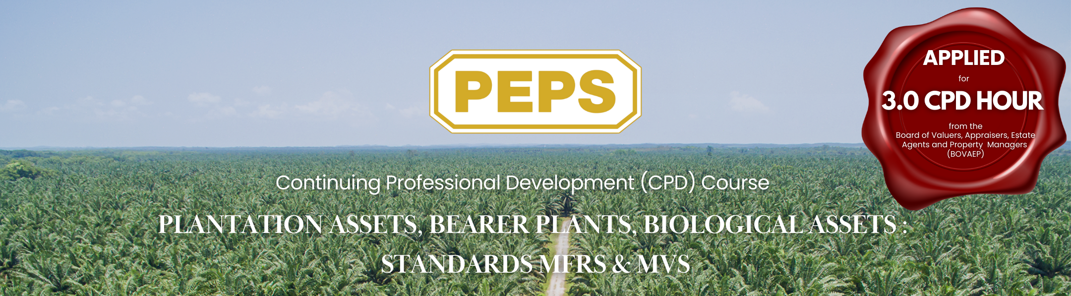 Plantation Assets, Bearer Plants, Biological Assets : Standards MFRS & MVS